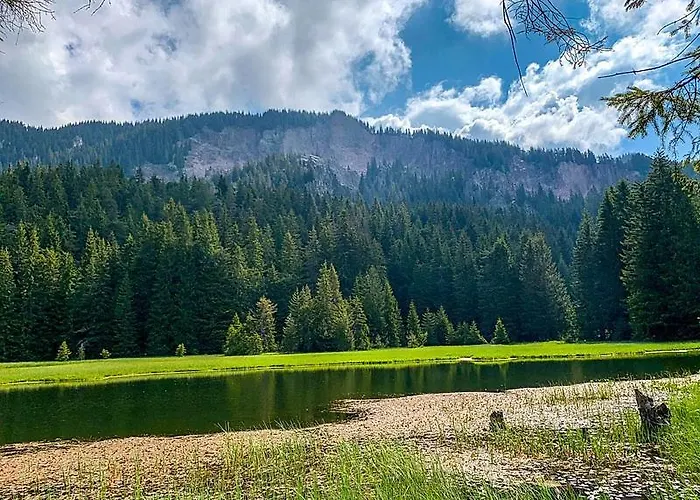 Apartment Stand'art - , смолянски езера